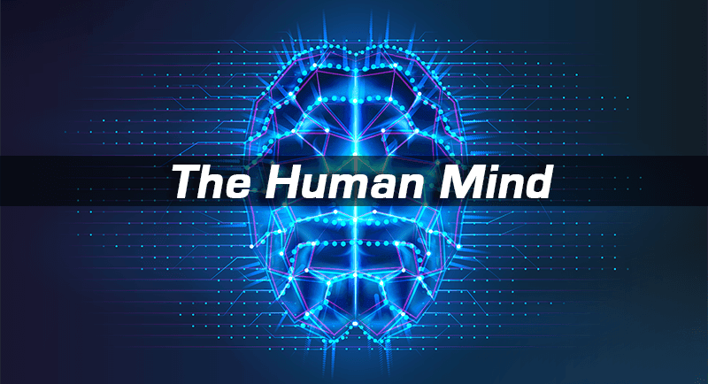 The Human Mind